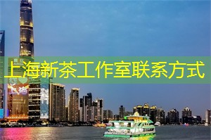 亲密无间的氛围，成就上海茶庄的社交